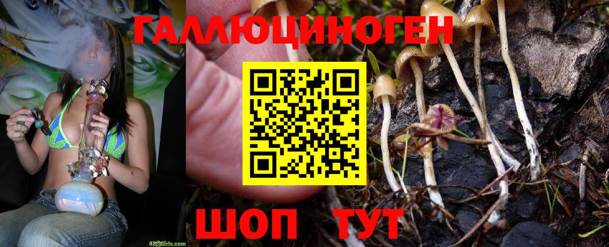 Галлюциногенные грибы ЛСД Москва