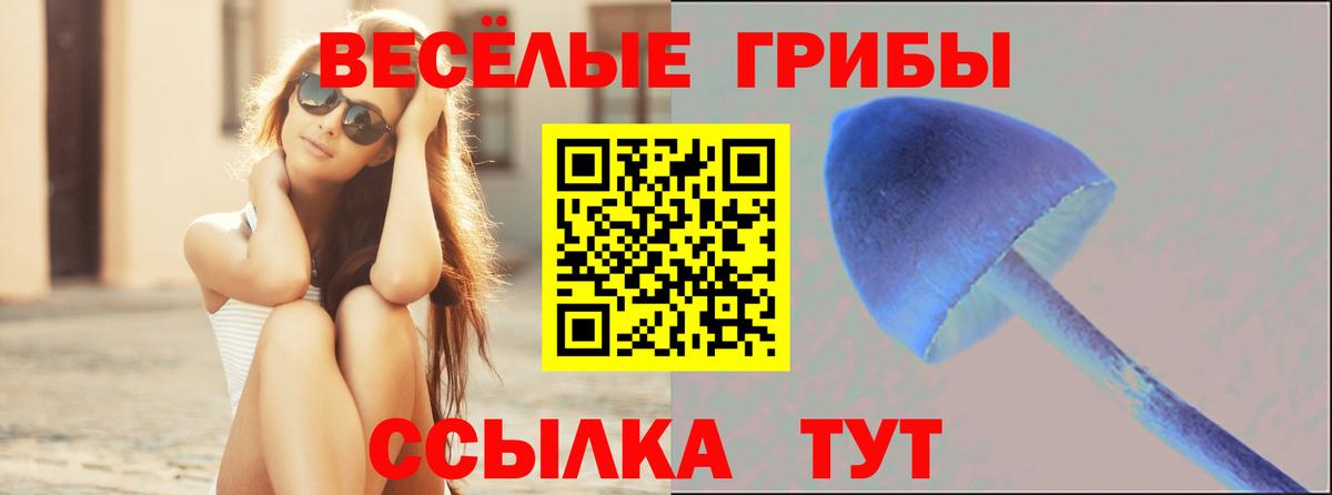 Галлюциногенные грибы прущие грибы  Вход с VPN  Москва 